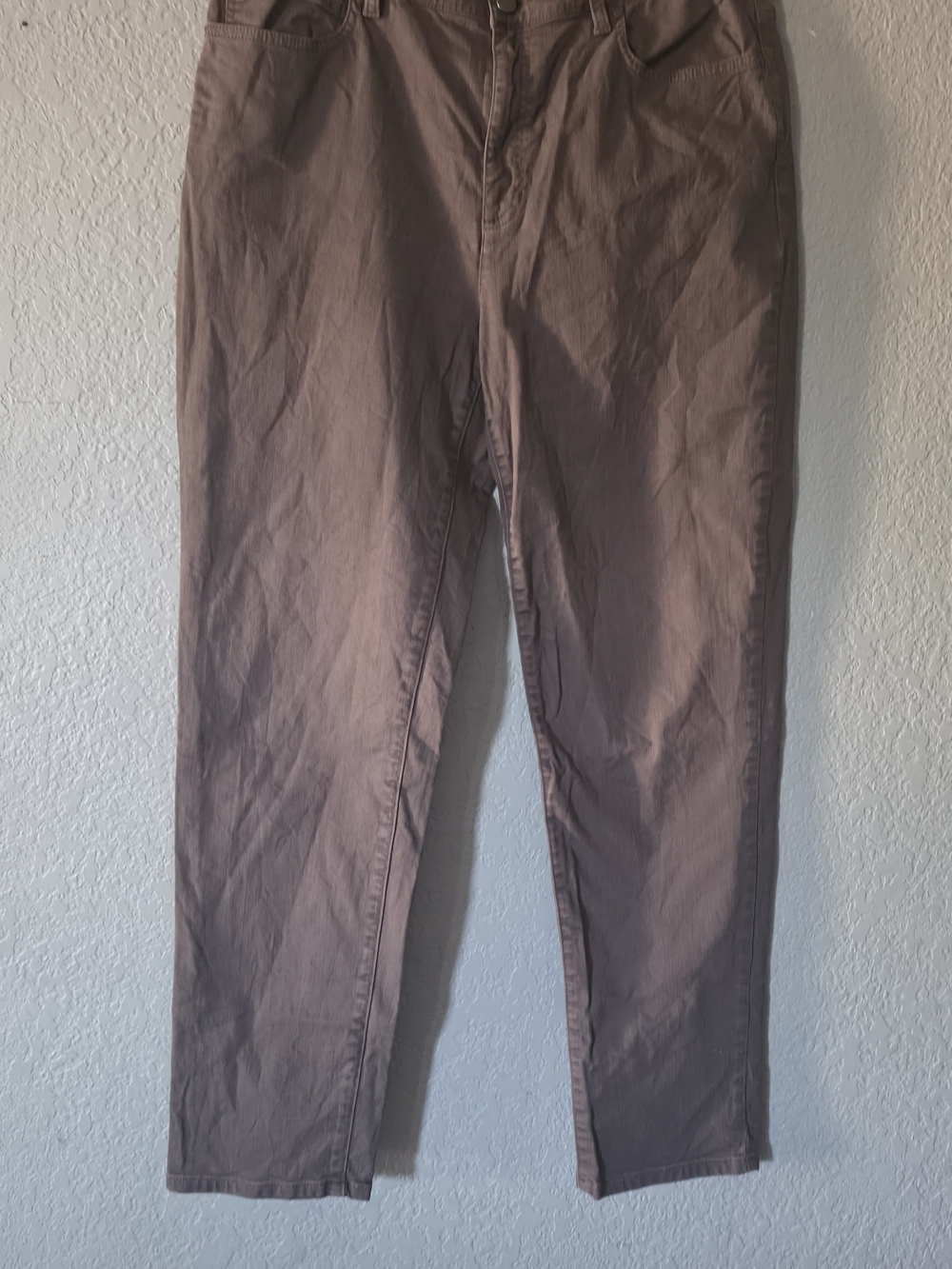 Eileen Fisher Women's Chino Pants in Taupe Brown